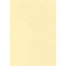 Előnyomott papír, A4, 95 g, pergamen hatású, APLI, pezsgő