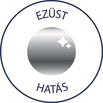 Matrica,  2 ív, 76x120 mm, AVERY ZWECKFORM, "Z-Design No.52812", ezüst csillagok