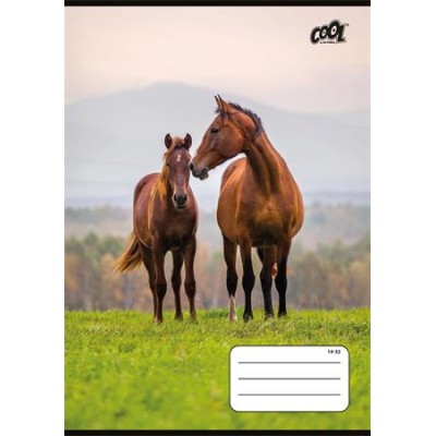 Füzet, tűzött, A5, vonalas, 32 lap, 1. osztály, COOL BY VICTORIA "Free Spirit", "14-32"
