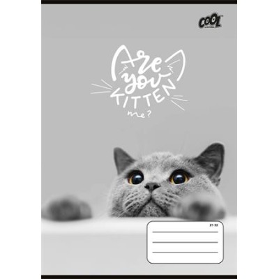 Füzet, tűzött, A5, vonalas, 32 lap, 4-8. osztály, COOL BY VICTORIA "Cats Forever", "21-32" Füzet, tűzött, A5, vonalas, 32 lap, 4-8. osztály, COOL BY VICTORIA "Cats Forever", "21-32"