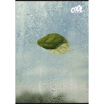 Füzet, tűzött, A4, sima, 80 lap, COOL BY VICTORIA "Green Calm"