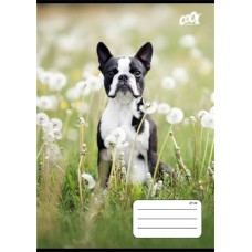 Füzet, tűzött, A5, kockás, 32 lap, COOL BY VICTORIA "B&W dogs", "27-32"