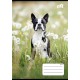 Füzet, tűzött, A5, kockás, 32 lap, COOL BY VICTORIA "B&W dogs", "27-32"