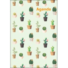 Naptár, tervező, A5, heti, DAYLINER, "Colors", Cactus