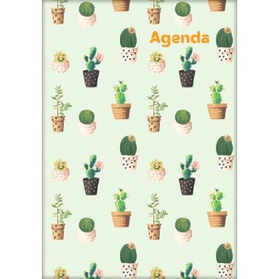 Naptár, tervező, A5, heti, DAYLINER, "Colors", Cactus