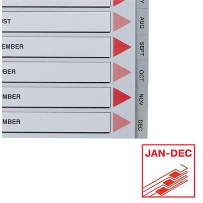 Regiszter, műanyag, A4, Jan-Dec, ESSELTE, szürke