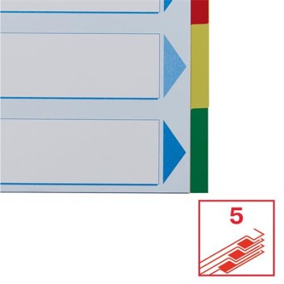 Regiszter, műanyag, A4, 5 részes, ESSELTE