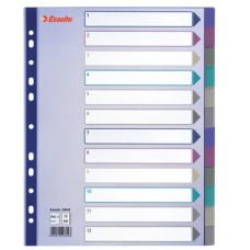 Regiszter, műanyag, A4 Maxi, 12 részes, ESSELTE, színes
