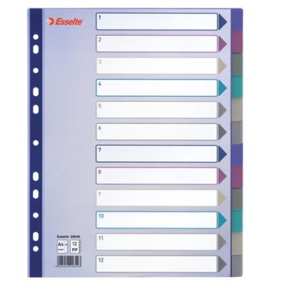 Regiszter, műanyag, A4 Maxi, 12 részes, ESSELTE, színes