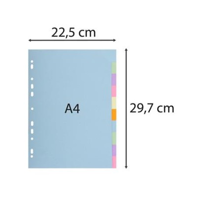 Regiszter, karton, A4, 10 részes, EXACOMPTA, pasztell színek