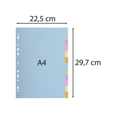 Regiszter, karton, A4, 12 részes, EXACOMPTA, pasztell színek Regiszter, karton, A4, 12 részes, EXACOMPTA, pasztell színek