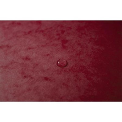 Gumis mappa, prespán, A4, EXACOMPTA, cseresznye