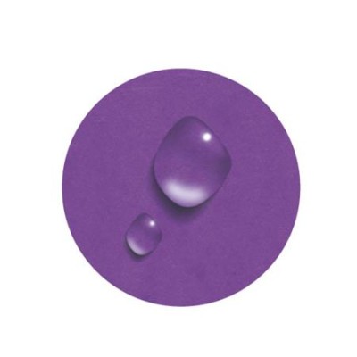 Gumis mappa, karton, A4, EXACOMPTA "Iderama", lila