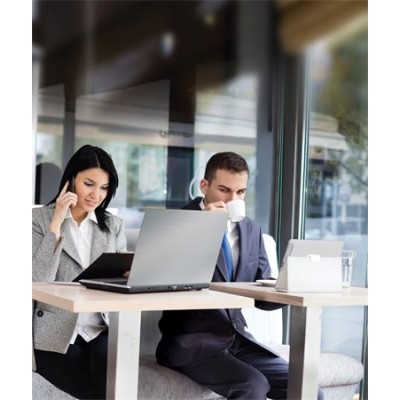 Monitorszűrő, betekintésvédelemmel, 476x268 mm, 21,5", 16:9 FELLOWES "PrivaScreen™", fekete