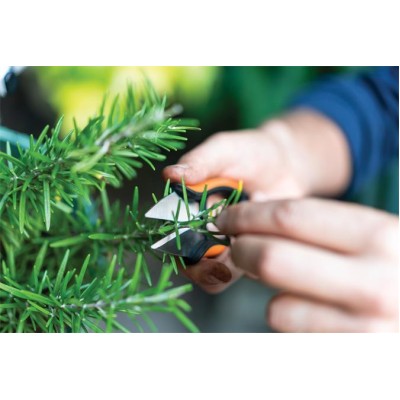 Fűszervágó olló, FISKARS "Solid™ SP220"