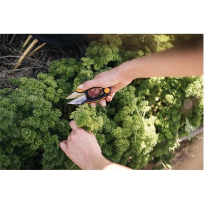 Fűszervágó olló, FISKARS "Solid™ SP220"