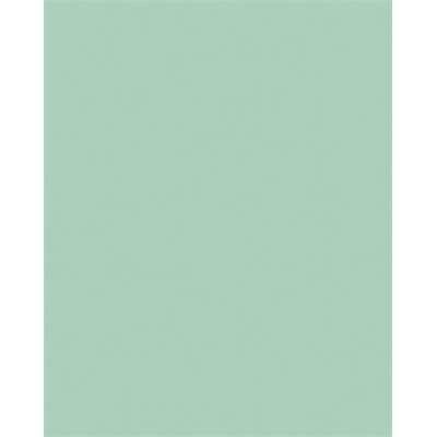 Dekorkarton, 2 oldalas, 50x70cm, 220 g, 10 lap, FOLIA, menta
