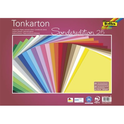 Dekorkarton, 2 oldalas, 50x70cm, 220 g, 25 lap, FOLIA, vegyes színek