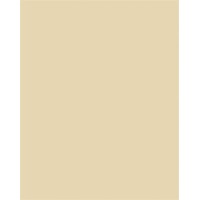 Dekorkarton, 2 oldalas, A4, 220 g, 100 lap, FOLIA, chamois