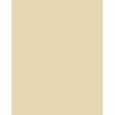 Dekorkarton, 2 oldalas, A4, 220 g, 100 lap, FOLIA, chamois