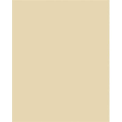 Dekorkarton, 2 oldalas, A4, 220 g, 100 lap, FOLIA, chamois