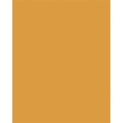 Dekorkarton, 2 oldalas, A4, 220 g, 100 lap, FOLIA, ochre