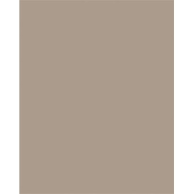 Dekorkarton, 2 oldalas, A4, 300 g, 50 lap, FOLIA, cappuccino