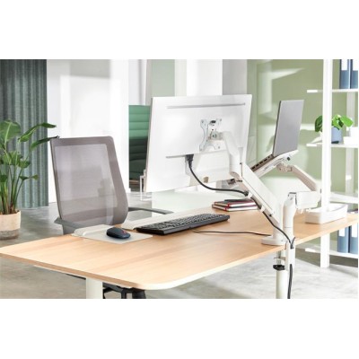 Monitor- és laptoptartó-kar, LEITZ "Ergo Dual", világosszürke