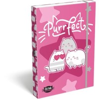Füzetbox, A4, LIZZYSULI, "Kit tok Stars Purrfect"