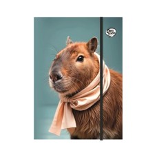 Gumis mappa, karton, A4, OPTISCHOOL "Capybara"