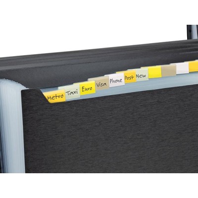 Harmonikamappa, A4, PP, 13 rekeszes, RAPESCO "Eco GRS Recycled", matt fekete
