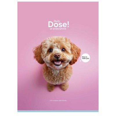 Füzet, tűzött, A4, vonalas, 80 lap, SHKOLYARYK "Daily Dose", vegyes