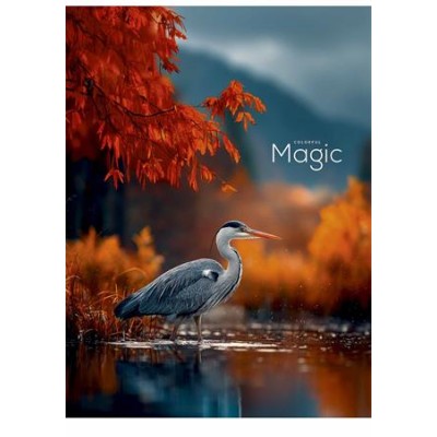 Füzet, tűzött, A4, kockás, 80 lap, SHKOLYARYK "Colorful Magic", vegyes