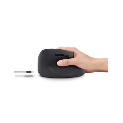 Egér, vezeték nélküli, vertikális, USB, URBAN FACTORY "Ergo Next", fekete Egér, vezeték nélküli, vertikális, USB, URBAN FACTORY "Ergo Next", fekete