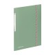 Gumis mappa, 15 mm, PP, A4, VIQUEL "Business Class", khaki