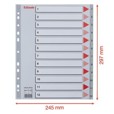 Regiszter, műanyag, A4 Maxi, 1-12, ESSELTE, szürke