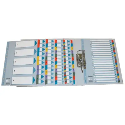 Regiszter, karton, A4, A-Z, ESSELTE "Mylar"