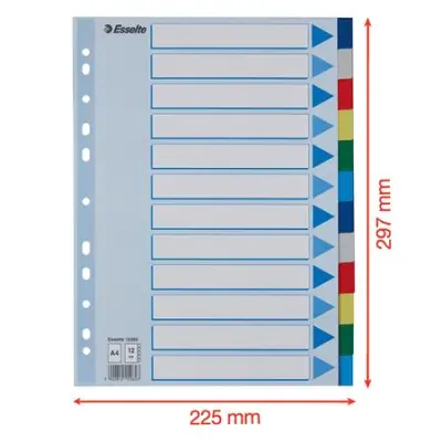 Regiszter, műanyag, A4, 12 részes, ESSELTE